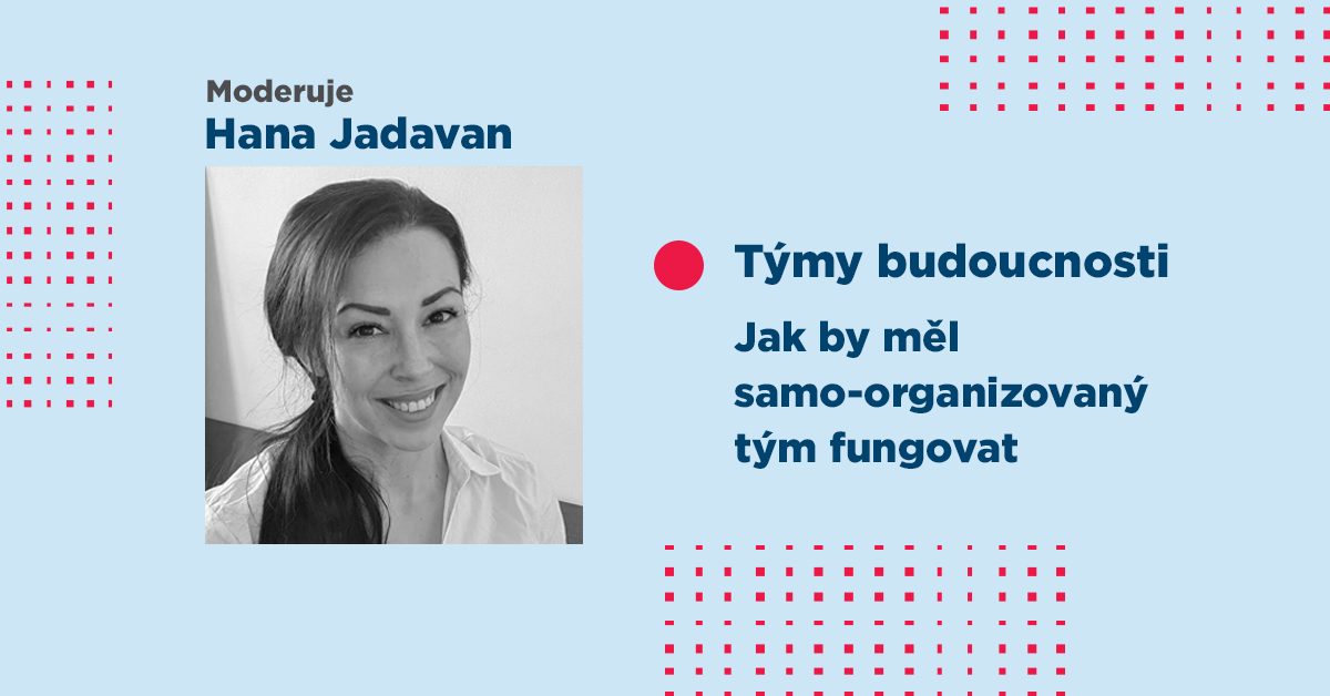 Jak by měl samo-organizovaný tým fungovat