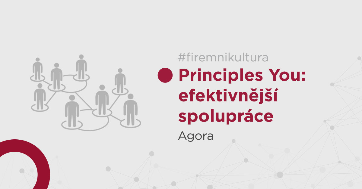 Principles You: efektivnější spolupráce