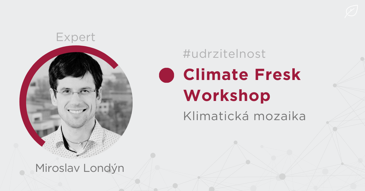 Climate Fresk Workshop